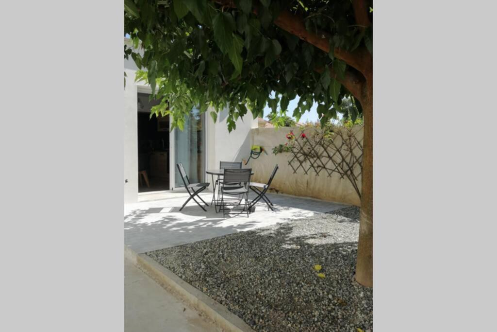 Charmant Appartement Avec Terrasse Pont-de-lʼIsère Zewnętrze zdjęcie